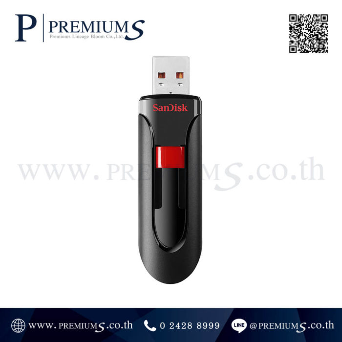 sandisk sdcz60