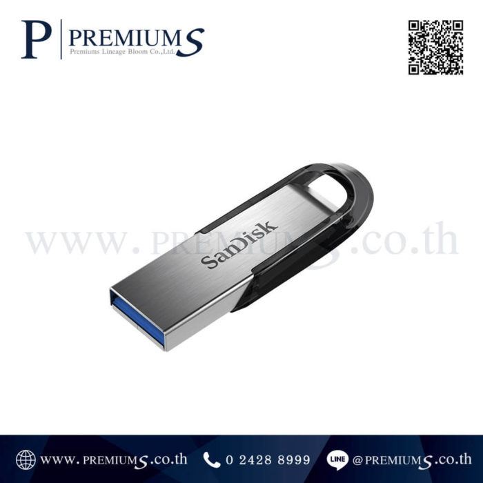 SanDisk รุ่น SDCZ73 2