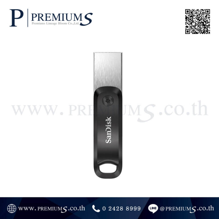 Flash Drive รุ่น SDIX60N