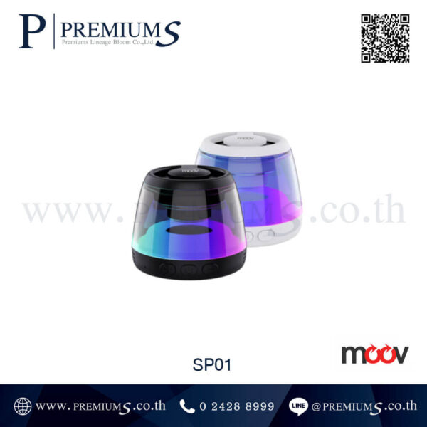 ลำโพงบลูทูธไร้สาย รุ่น SP01