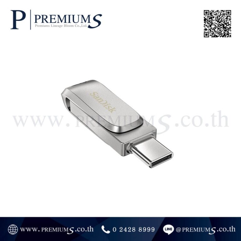 ส่วนหัว Flash Drive รุ่น Dual Drive Type-C (SDDDC4_G46)