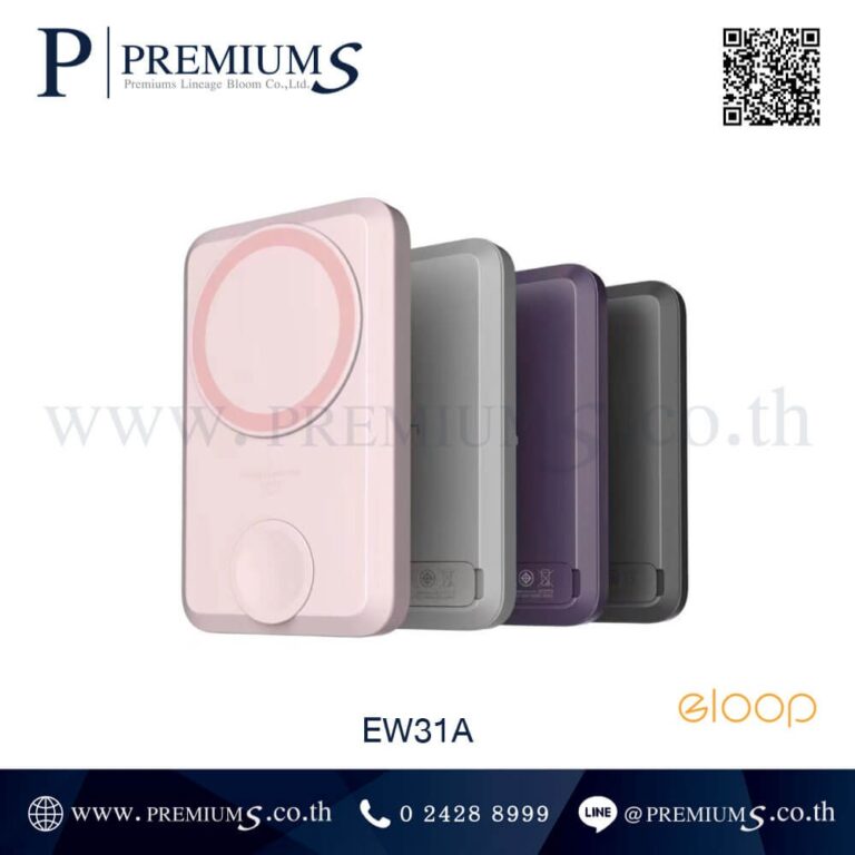 ชุด Powerbank รุ่น EW31A