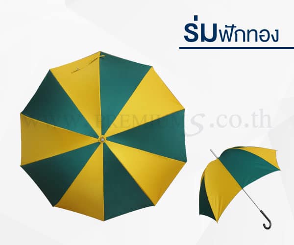 ร่มฟักทอง