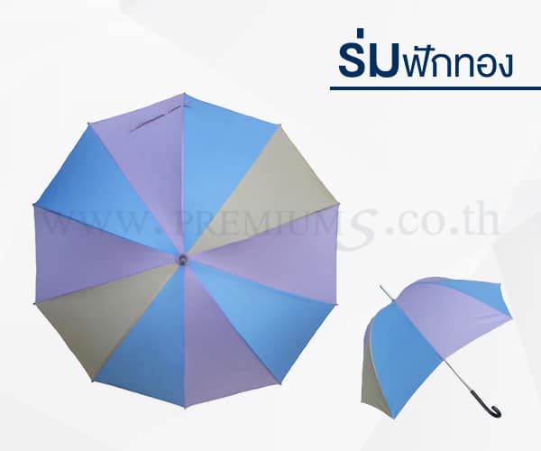 ร่มฟักทอง