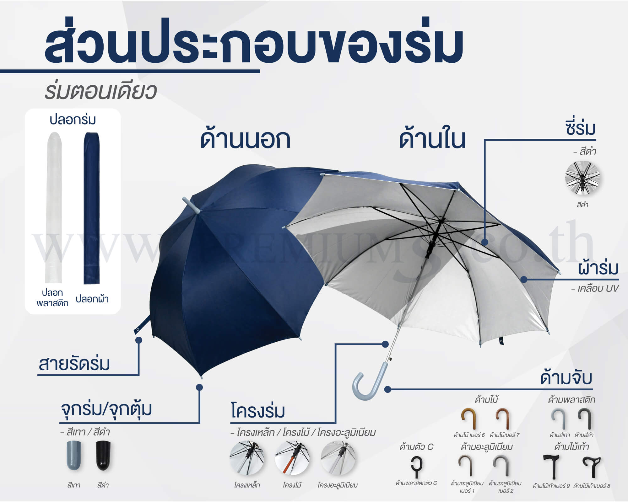 ส่วนประกอบร่มตอนเดียว