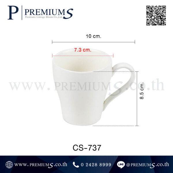 ขนาดแก้วกาแฟ