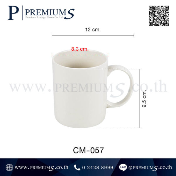 ขนาดแก้วมัค