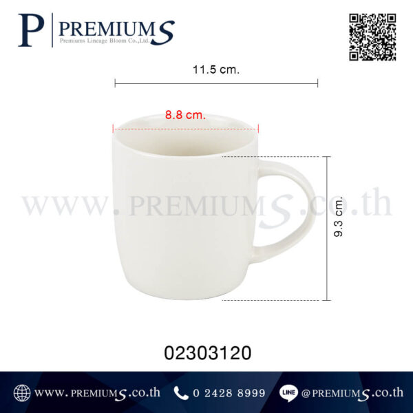 ขนาดแก้วมัคเซรามิ