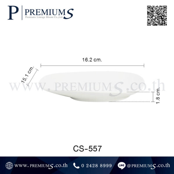 ขนาดจานเซรามิค