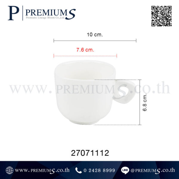 ขนาดแก้วเซรามิค