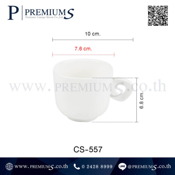 ขนาดแก้วเซรามิค