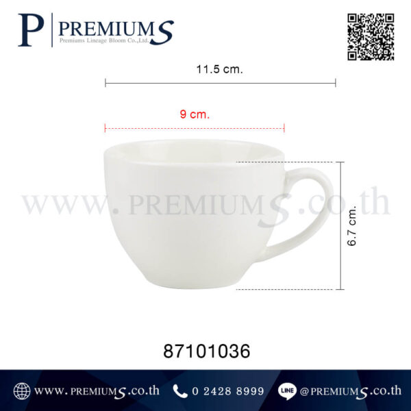 ขนาดแก้วเซรามิคกลม