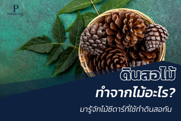 ดินสอไม้ทำจากอะไร