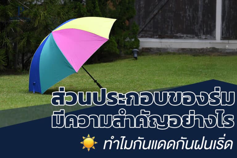 ส่วนประกอบของร่มสำคัญอย่างไร