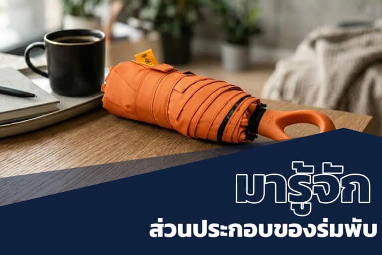 ส่วนประกอบของร่มพับ