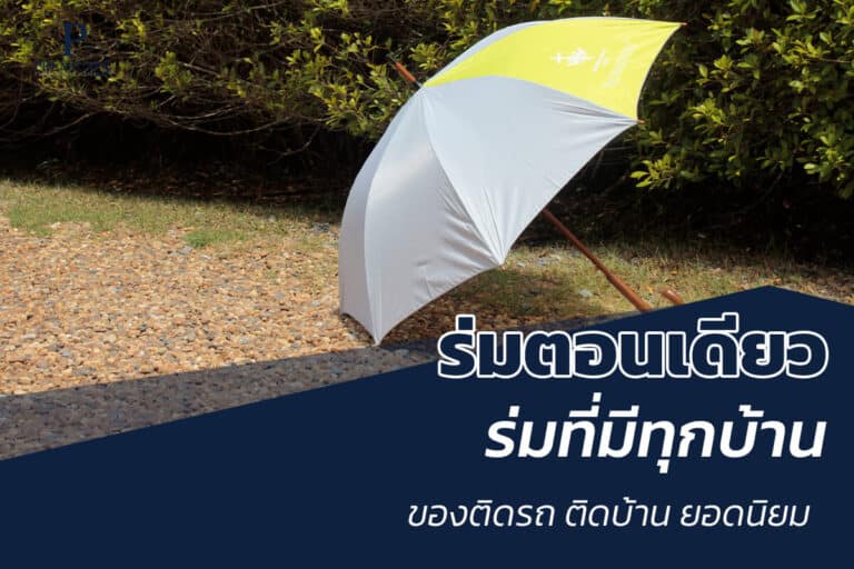 ร่มตอนเดียวทำไมถึงนิยม