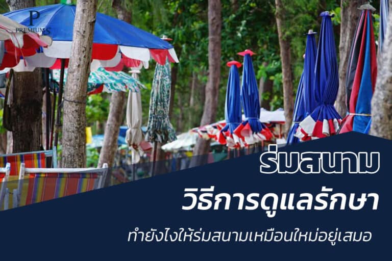 วิธีดูแลร่มสนาม