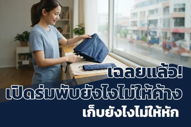 เปิดร่มพับยังไงไม่ให้ค้าง เก็บยังไงไม่ให้หัก